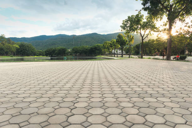 Best Local Driveway Pavers  in Manor, TX